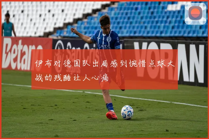 伊布对德国队出局感到惋惜点球大战的残酷让人心痛