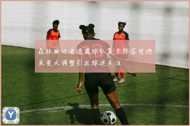 森林狼记者透露球队夏季阵容将迎来重大调整引发球迷关注